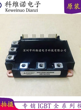 全新PM150CSD060 PM150CSD120 PM200RSA060 PM100CSD060 PM300现