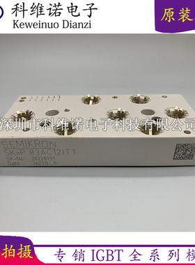 SKiiP83AC12IT1 SKiIP82AC121T1 SKIIP82AC128IS SKIIP83AC12IT46