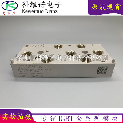 SKiiP83AC12IT1 SKiIP82AC121T1 SKIIP82AC128IS SKIIP83AC12IT46