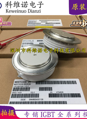 现货6SY7010-OAA41 6SY7010-OAA42 6SY7010-OAA38 6SY7010-OAA60