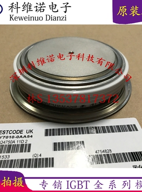 6SY7010-0AA44 6SY7010-0AA43 6SY7010-0AA47 6SY7010-0AA40 模块