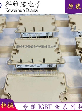 6MBP30VAA060-50 6MBP40VAA060-51 6MBP20VAA060-51 6MBP40VAA060