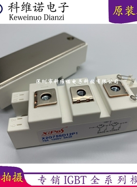 X2G50SD12P1 X2G75SD12P1 X2G100SD12P1 X2G100SD12P3