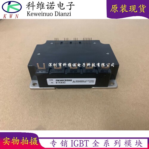 PM150CBS060 PM200CBS060 PM300CBS060 PM200RSE060 PM300CS1H060