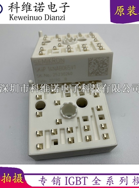 SKIIP14NAB066V1 SKiiP14NAB065V1 SKIIP13NAB065V1 SKIIP11NAB06