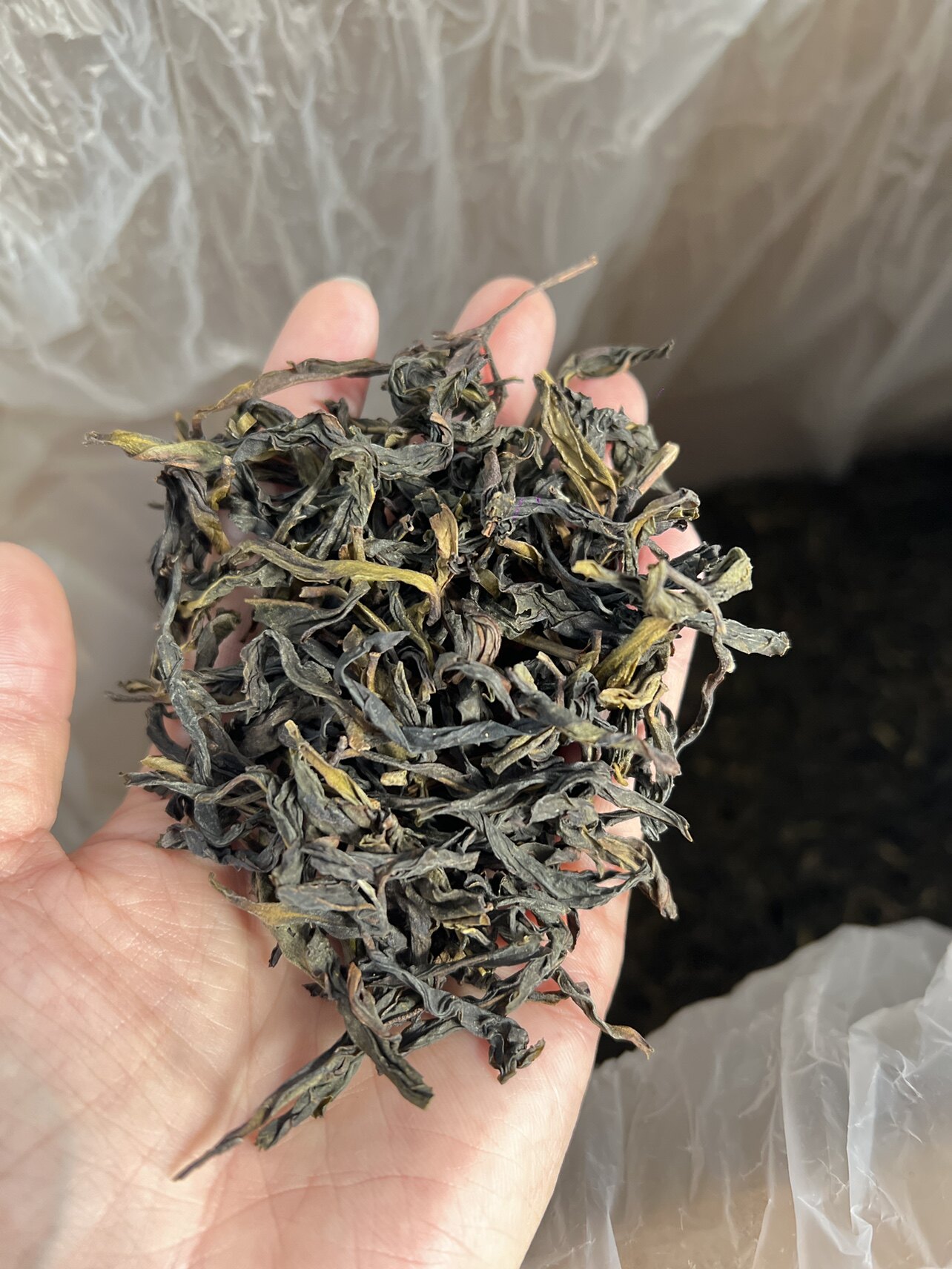 单丛潮汕工夫茶潮州凤凰单丛茶潮州鸭屎香500克