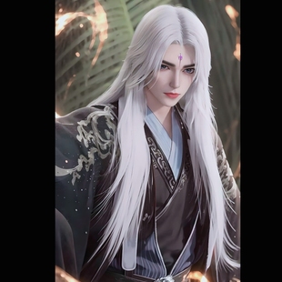 仙逆 王林cos假发 灰色古风造型款 仿真头皮顶长发 玫瑰网 现货