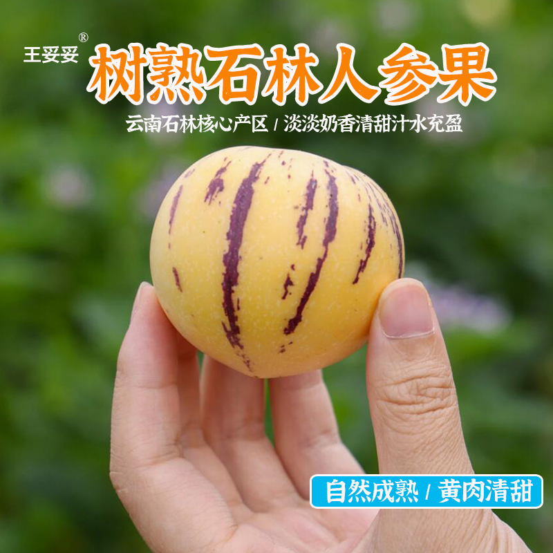 云南石林（自然熟黄肉）人参果