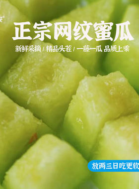 王妥妥®山东海阳网纹冰淇淋蜜瓜