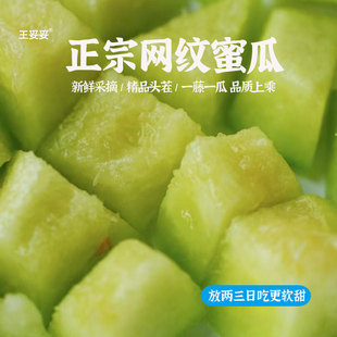 王妥妥®山东海阳冰淇淋网纹蜜瓜 哈密瓜玫珑瓜甜瓜当季新鲜水果