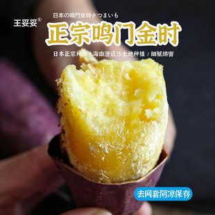 王妥妥®鸣门金时板栗红薯新鲜地瓜番薯沙地山芋非海南桥头甜地瓜