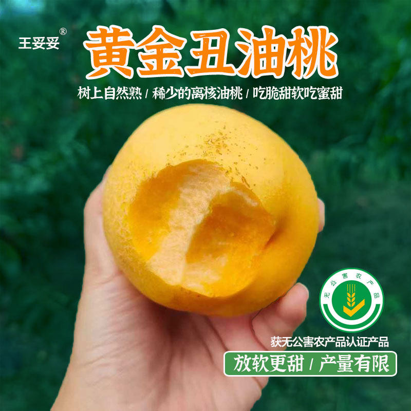 【8月见】~山东黄金丑桃黄油桃脆桃子新鲜水果 无公害农产品