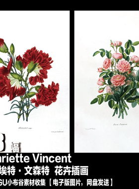 法国 亨丽埃特 Henriette Vincent 电子版 彩色 花卉版画插画素材