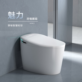 全自动翻盖一体机 日本原装 智能马桶家用新款 进口坐便器即热式