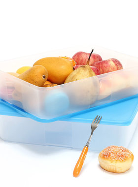 特百惠环保塑料大容量冷冻盒