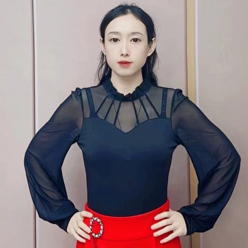欢舞阁摩登双人舞半高领灯笼袖交际舞广场舞网纱长袖上衣A0486