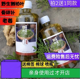 新鲜野生侧柏叶泡酒密生护发水白发酒精泡侧柏叶老生姜脂溢性头发