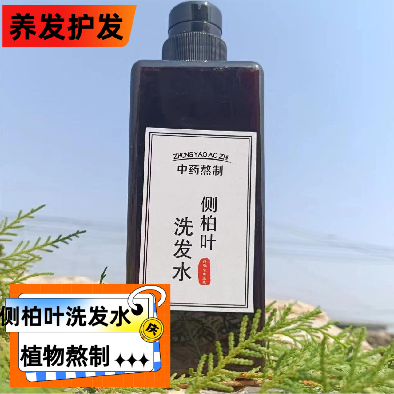 防脱发育发洗发液增发何首乌皂角洗发水无患子侧柏叶生姜中药生发