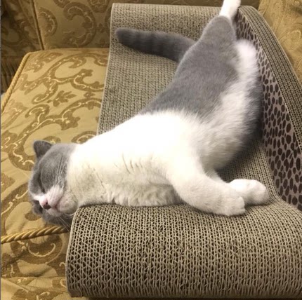 得酷大号猫抓板瓦楞纸沙发款猫窝四季通用贵妃椅加厚磨爪板不掉屑