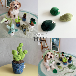 『Memory Pet』韩国wetnose宠物绒球帽子猫薄荷木天蓼狗盆栽玩具