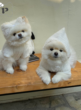 『Memory Pet』韩国hiyeboo宠物白色蕾丝镂空针织领结/帽子配饰