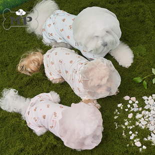 『Memory Pet』韩国代购bailey宠物狗狗外出防蚊虫防误食网纱面罩