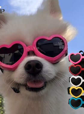 『Memory Pet』韩国biteme宠物防风防水防紫外线日常雪地护目镜