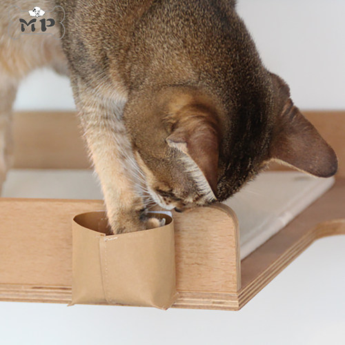 韩代宠物猫减压益智寻宝诱食玩具