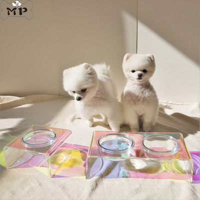 猫狗名字定制亚克力单双碗餐桌