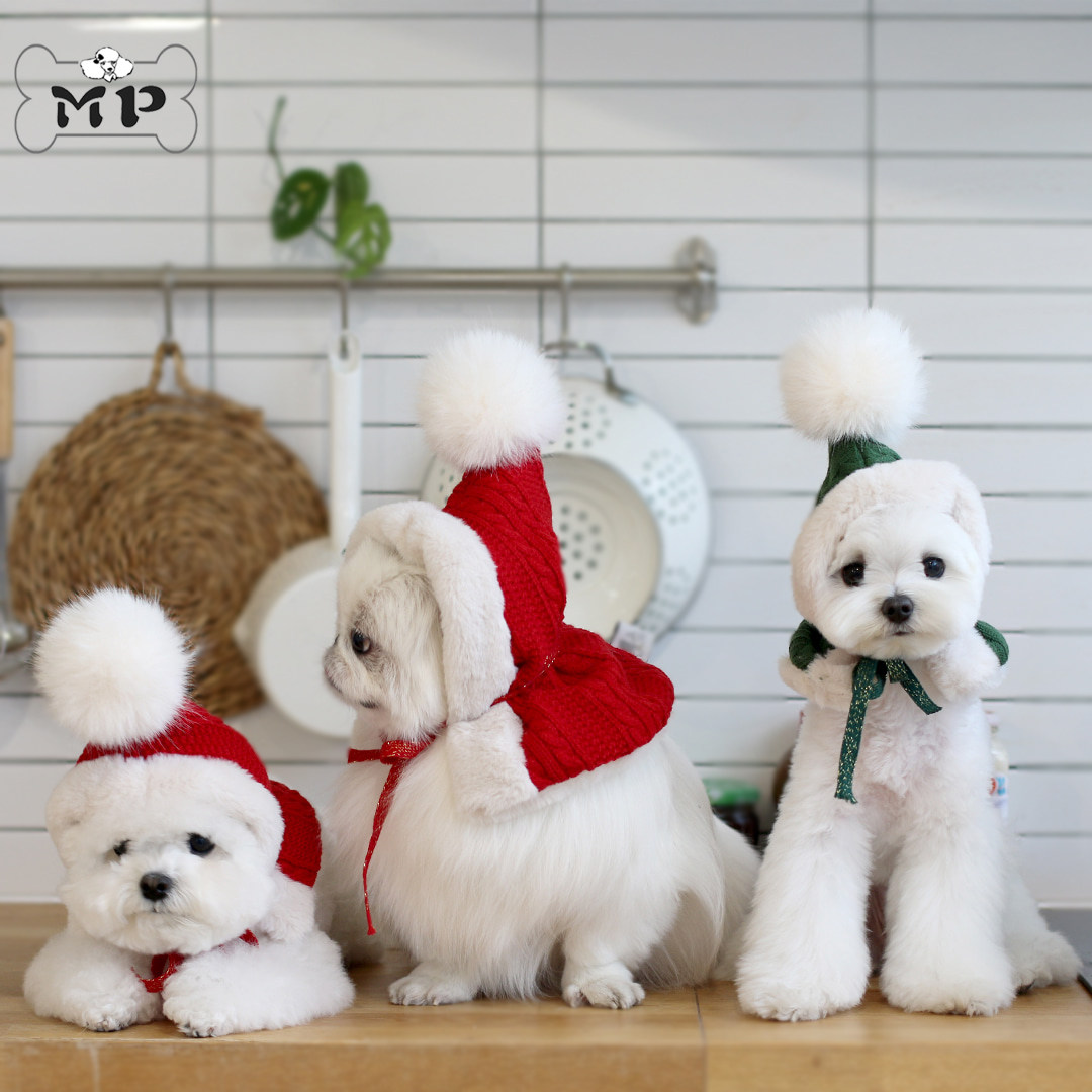 『Memory Pet』韩国代购宠物猫狗冬季保暖可爱绒球麻花针织帽子,宠物/宠物食品及用品,帽子,淘宝优惠券,粉丝福利购,淘宝优惠卷