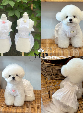 『Memory Pet』韩国代购jellaco宠物花朵白色蕾丝松紧吊带连衣裙