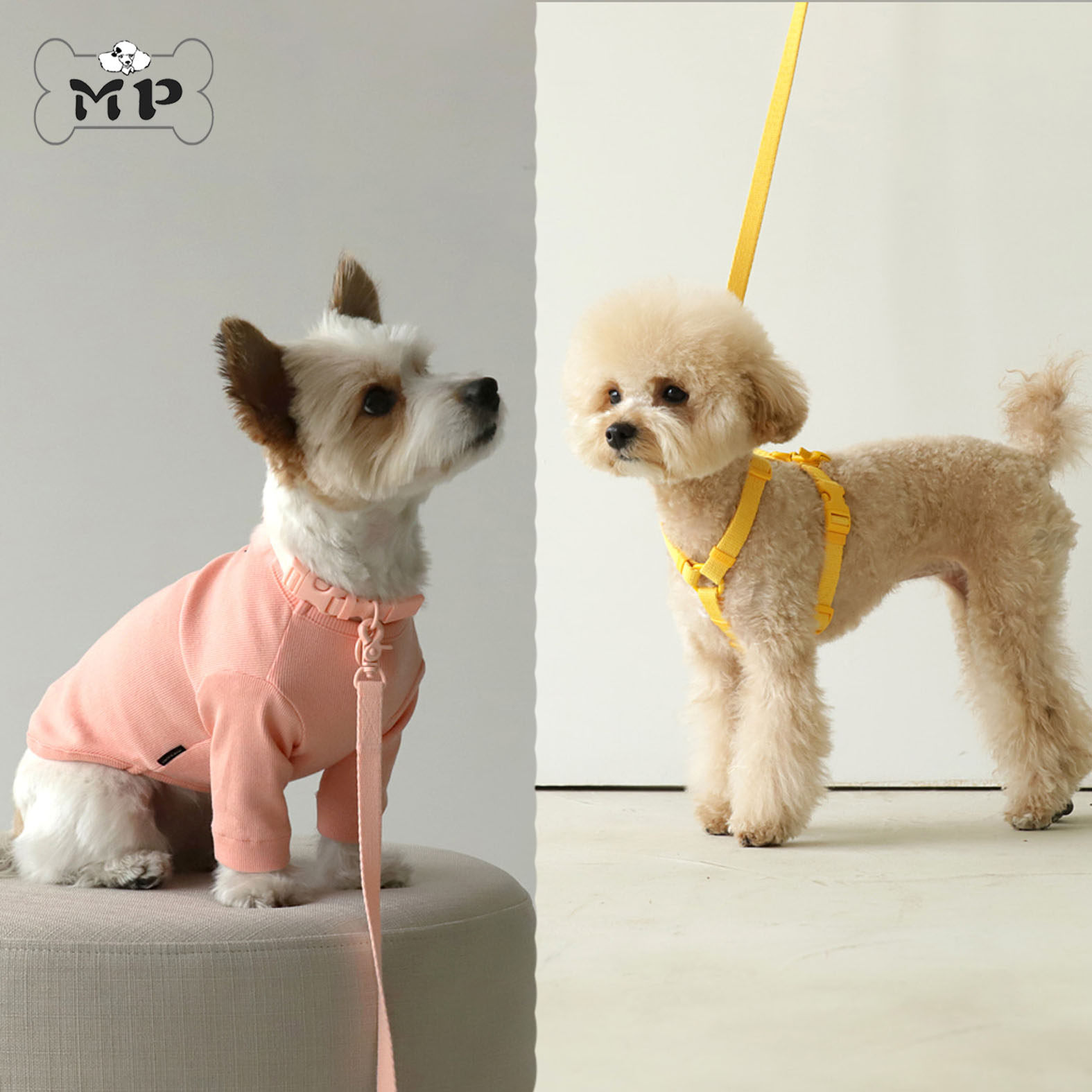 部分现货~韩国进口正品猫狗宠物inherent马卡龙项圈胸背牵引绳