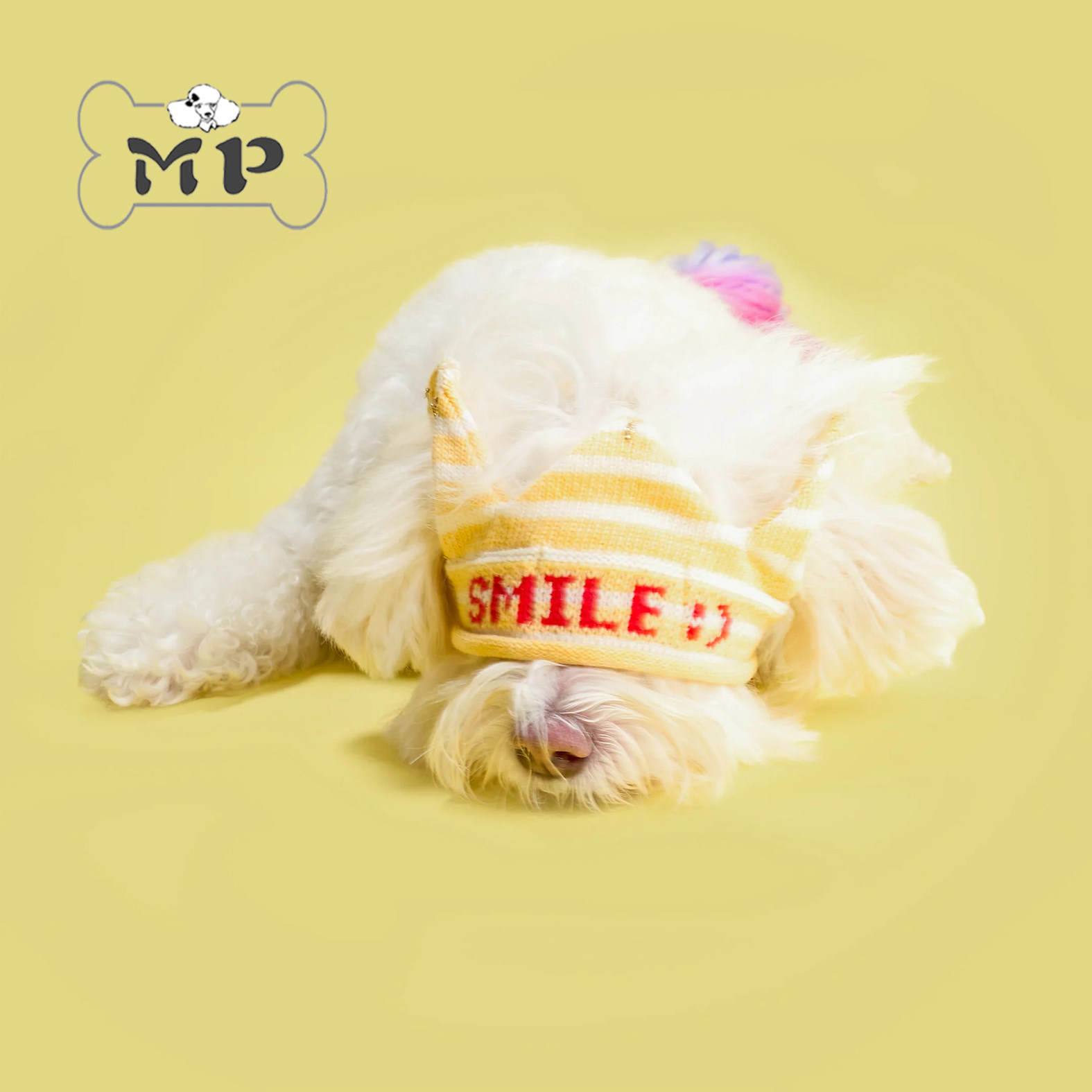 『Memory Pet』韩国代购宠物狗狗生日派对黄色针织可爱皇冠发带
