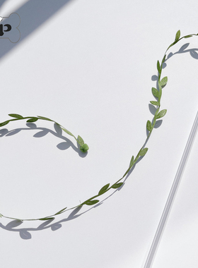 现货~韩国代购宠物猫咪长绳绿色叶子逗透明管猫棒玩具