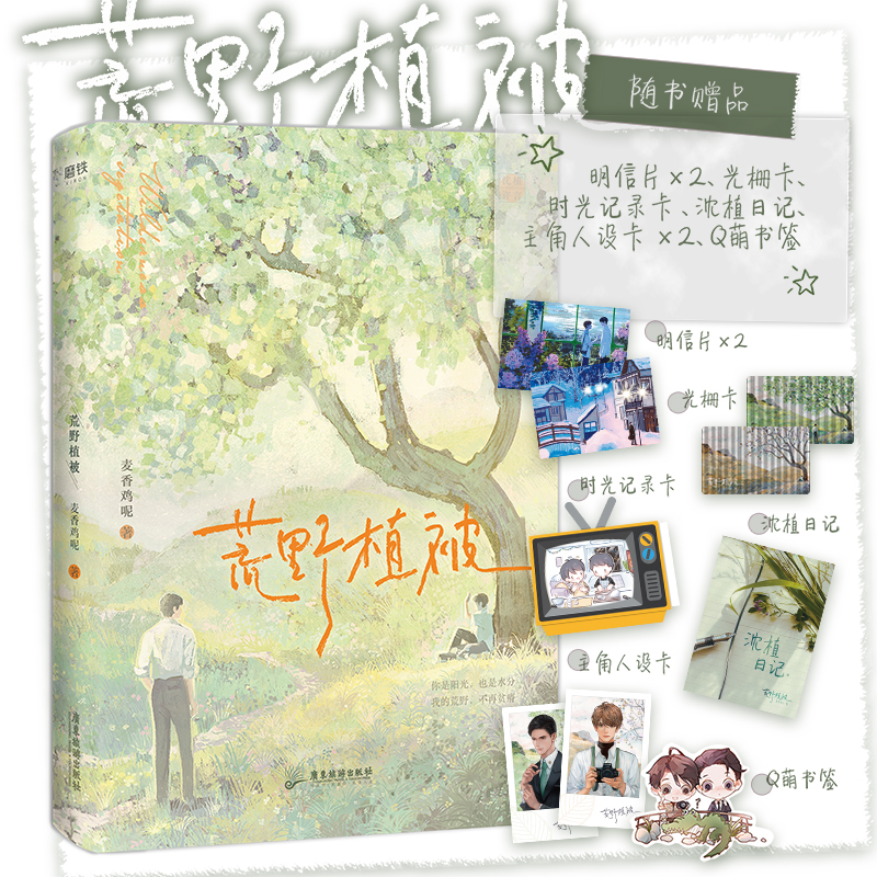 精英律师沈植×大摄影师许言