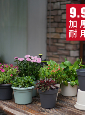 环球树脂花盆霍伦盆塑料加仑盆绿萝阳台多肉植物花盆肉肉小花盆