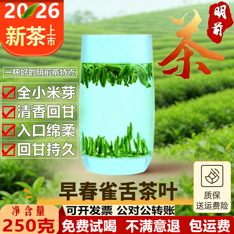 绿茶2026新茶明前雀舌茶叶250g高山云雾龙井春茶名茶毛尖茶浓香型