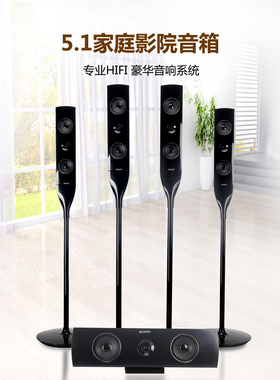 索爱5.1家庭影院组合音箱立式前置中置环绕立体声大功率HIFI音质