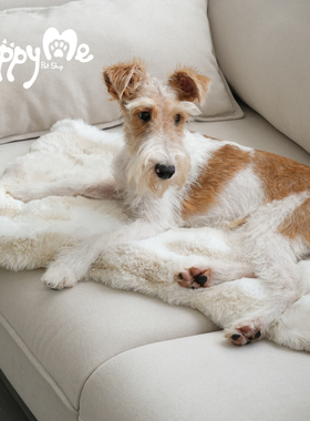 【YappyMe小兔绒绒毯】冬天保暖毛绒狗窝垫子小猫窝踩奶软垫猫窝