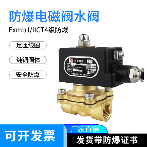 防爆电磁阀水阀2W160-15控制气阀