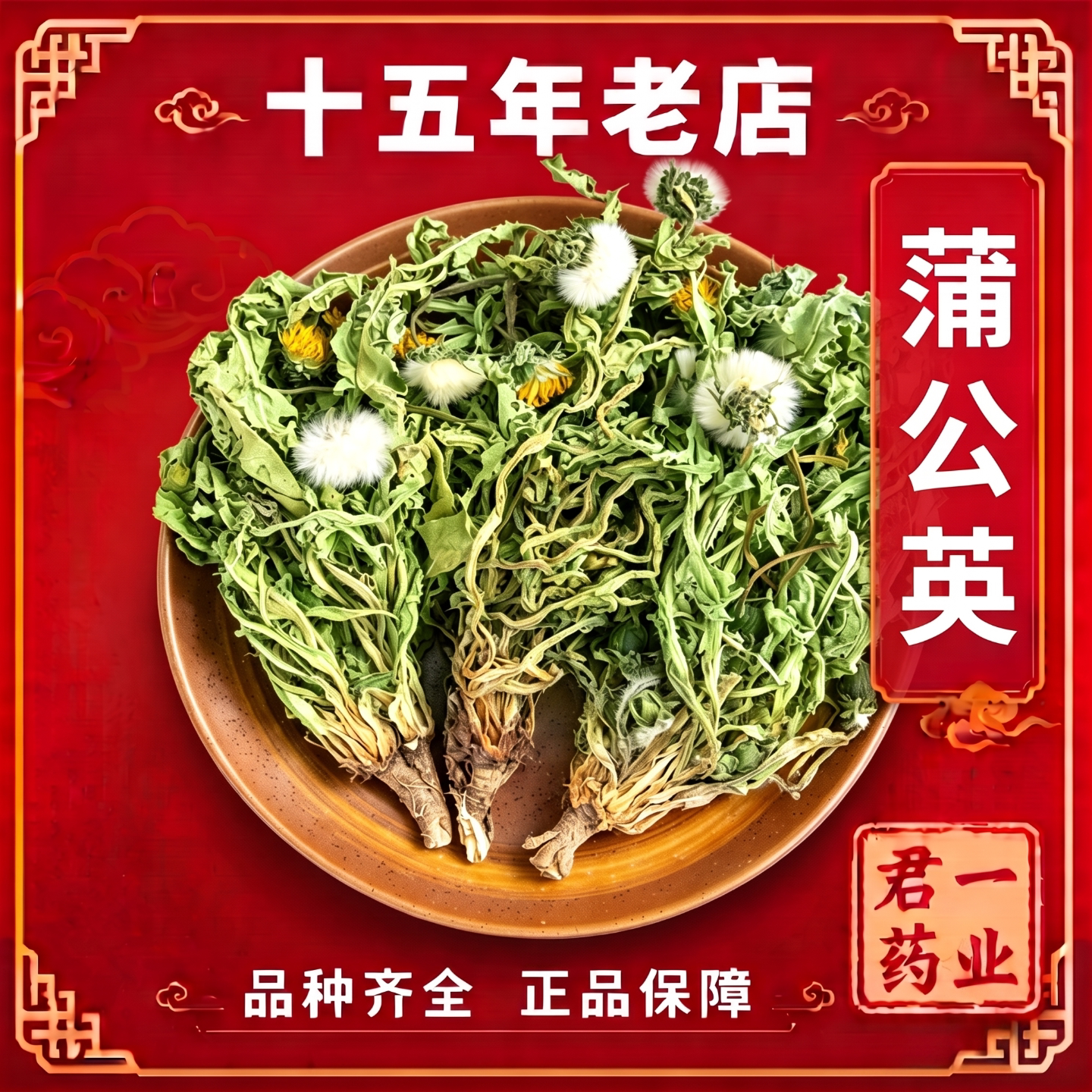 15年老店蒲公英中药材甘肃整颗