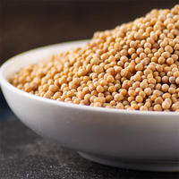 A 15-year-old store offers genuine white mustard seeds, white muzi, and spicy mustard seeds. The tea is made from stir-fried Chinese medicinal herbs and white mustard seeds thumbnail 2