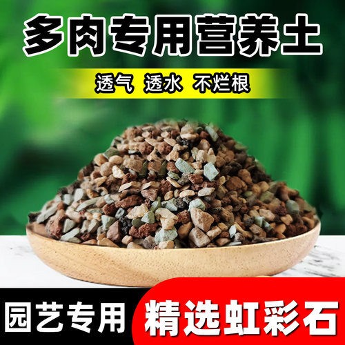 虹彩石多肉营养土颗粒土绿沸石火山石麦饭石专用铺面石生根透气
