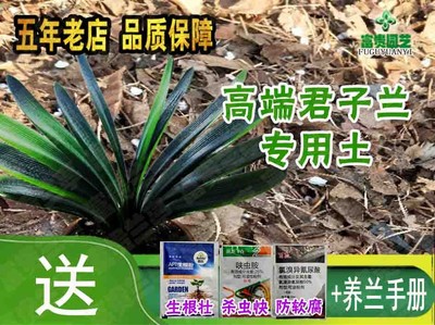 君子兰专用营养土橡树叶发酵树皮松针开花肥杉木屑兰花通用腐殖土