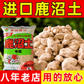 日本进口硬质鹿沼土颗粒铺面介质拌土颗粒多肉杜鹃兰酸性花营养土