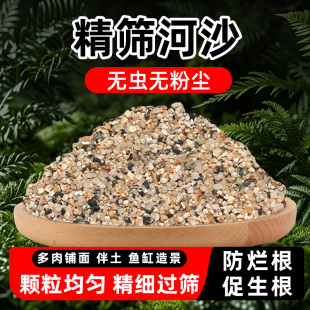 河沙粒精筛粗河砂多肉铺面石君子兰配土颗粒种植养花鱼缸造景底砂
