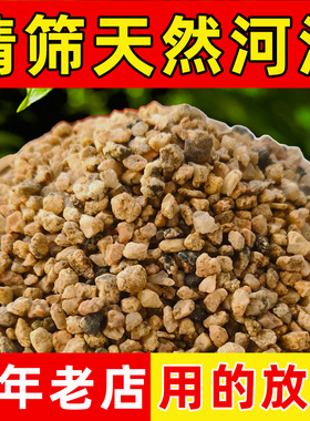 粗河沙君子兰养花专用河沙植物专用沙子火山石营养土鱼缸造景底砂