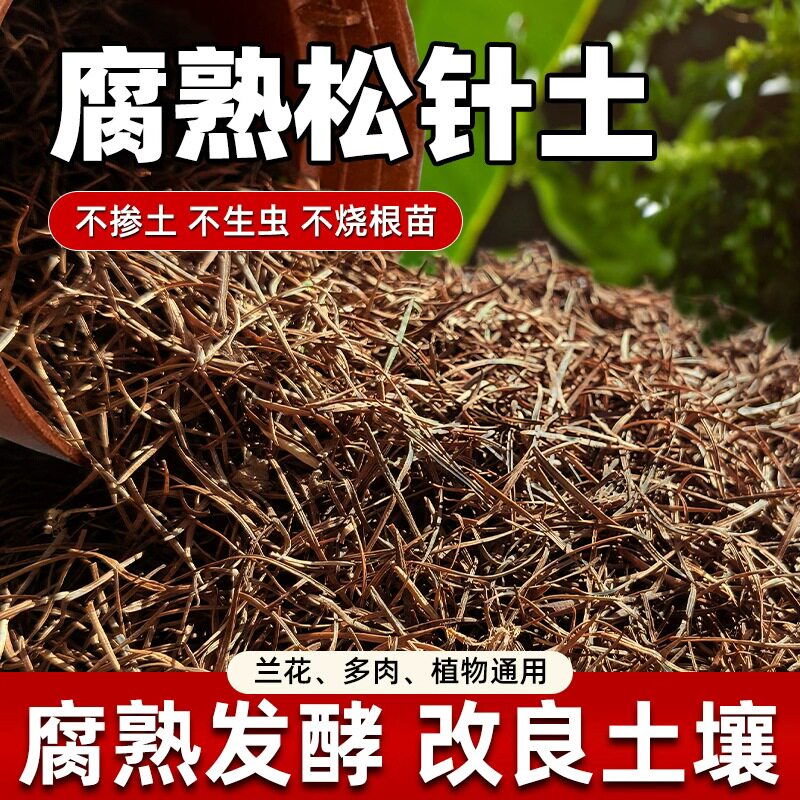 养花专用松针橡树叶腐叶种植土腐熟松针多肉君子兰绿萝无土纯松针图片