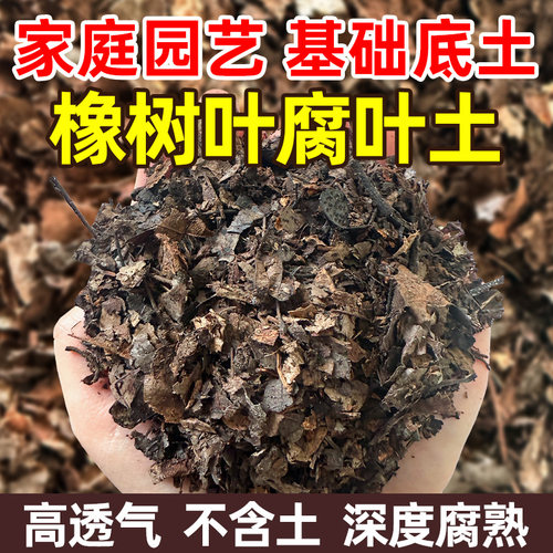 腐熟无土橡树叶不烧根