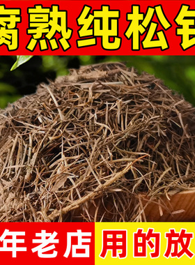 兰花松针土橡树叶腐叶腐熟松针多肉君子兰专用天然营养腐殖土花土